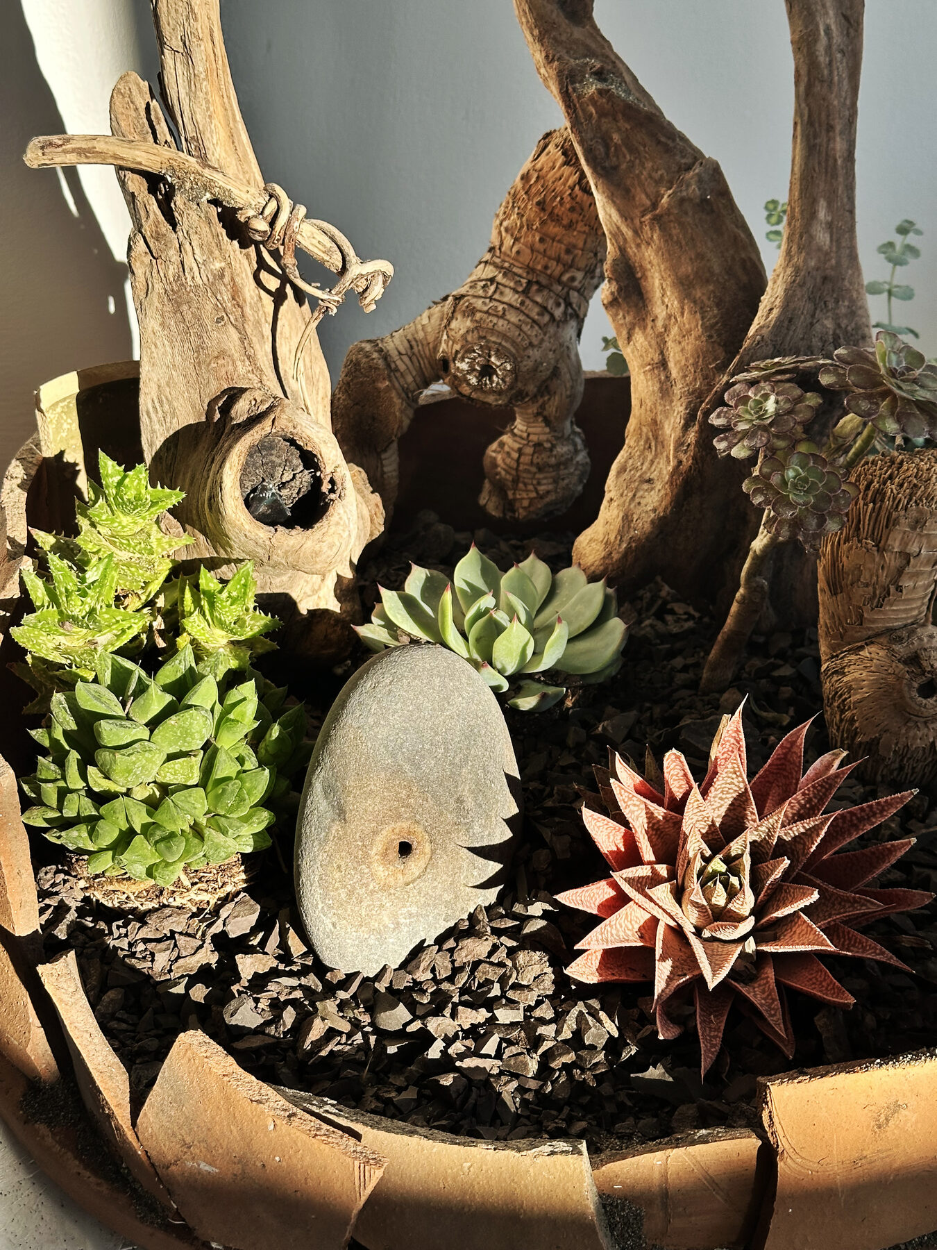 Jardins miniatures
